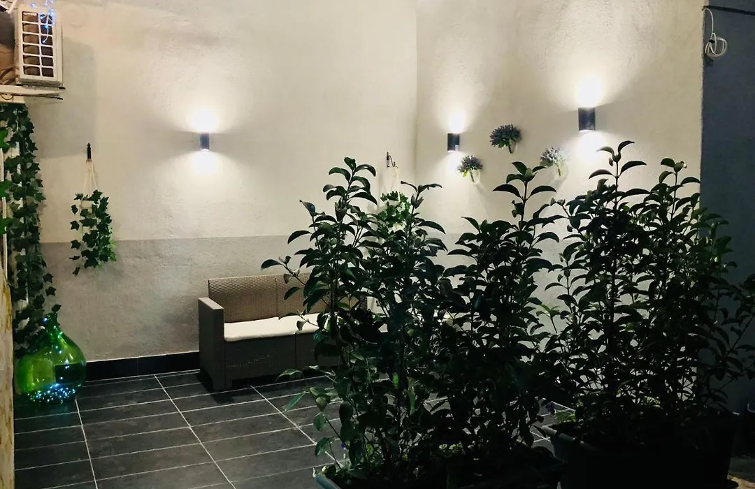 Amonia House-1